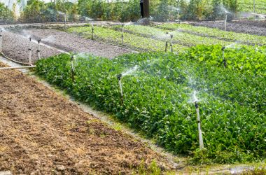 berti irrigazione sistemi idrici per agricoltura (3).jpg