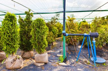 berti irrigazione sistemi idrici per agricoltura (5).jpg